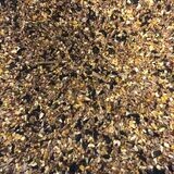 Bird Seed (1KG)