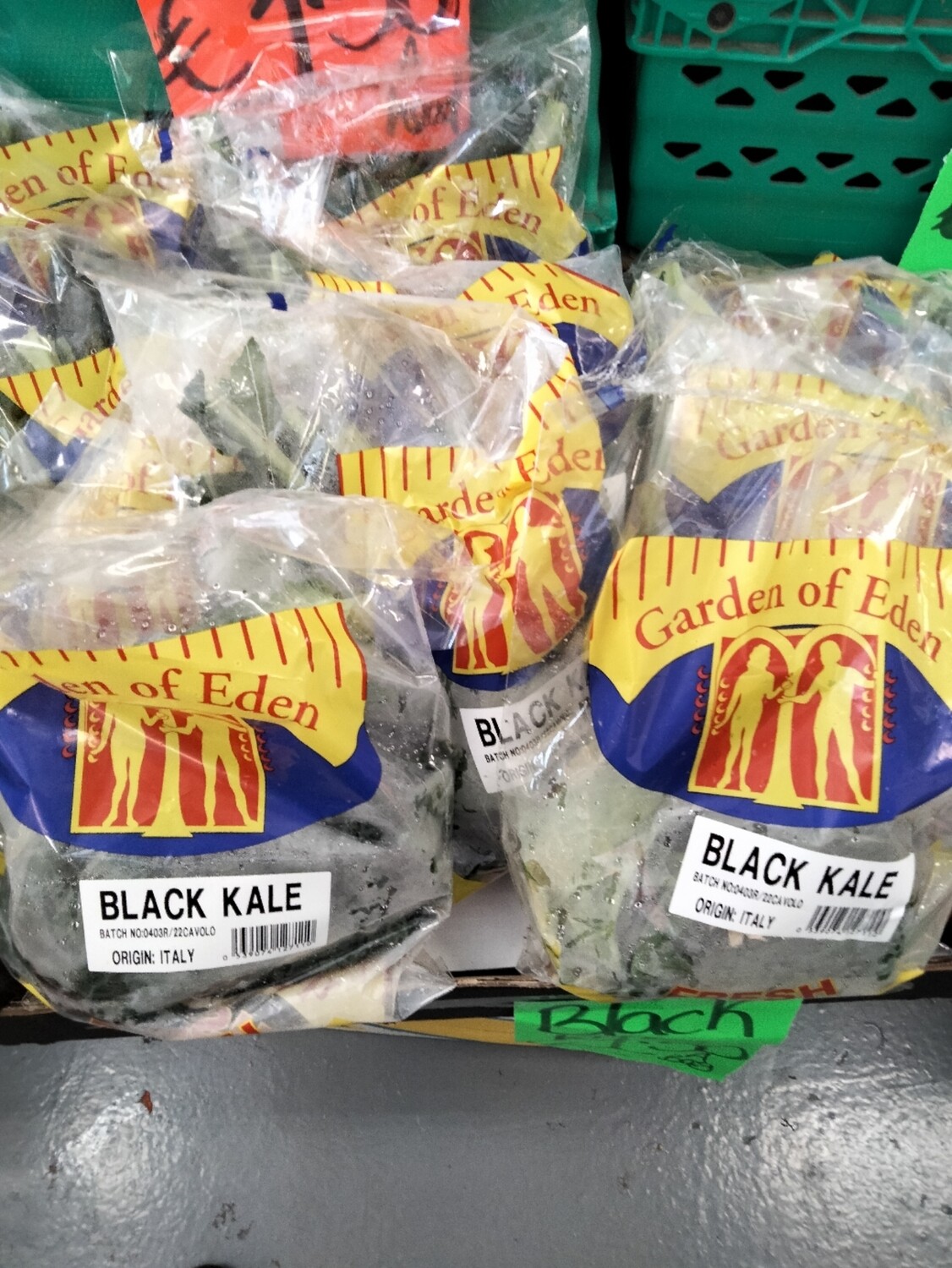 Black Kale
