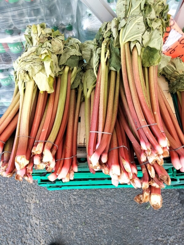 Bunch of Rhubarb