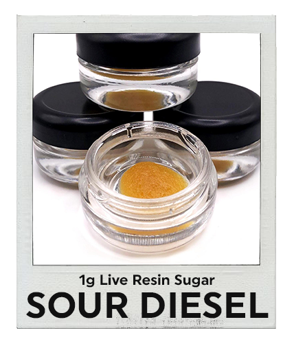 Live Resin Sugar/ Sour Diesel (1G)