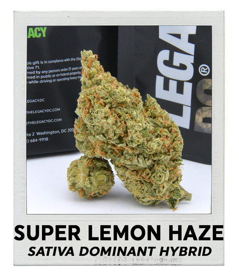 Super Lemon Haze (Sativa Hybrid)