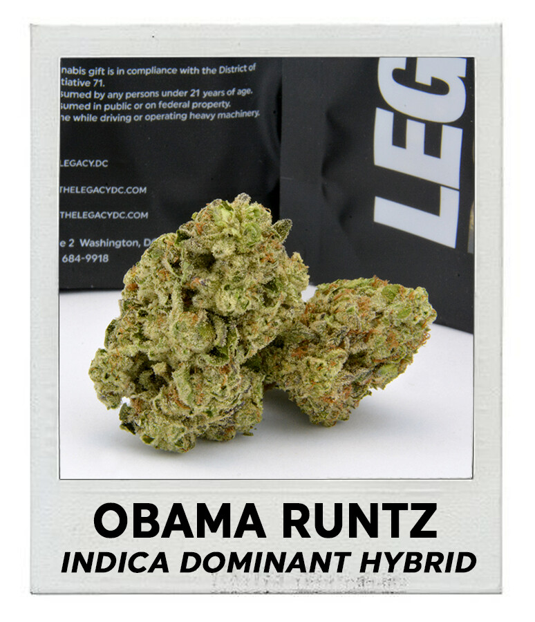 Obama Runtz (Indica Hybrid)
