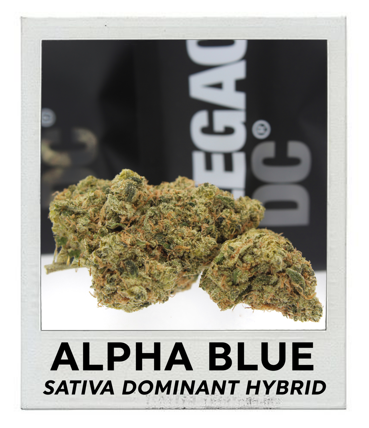 Alpha Blue (Sativa Hybrid)