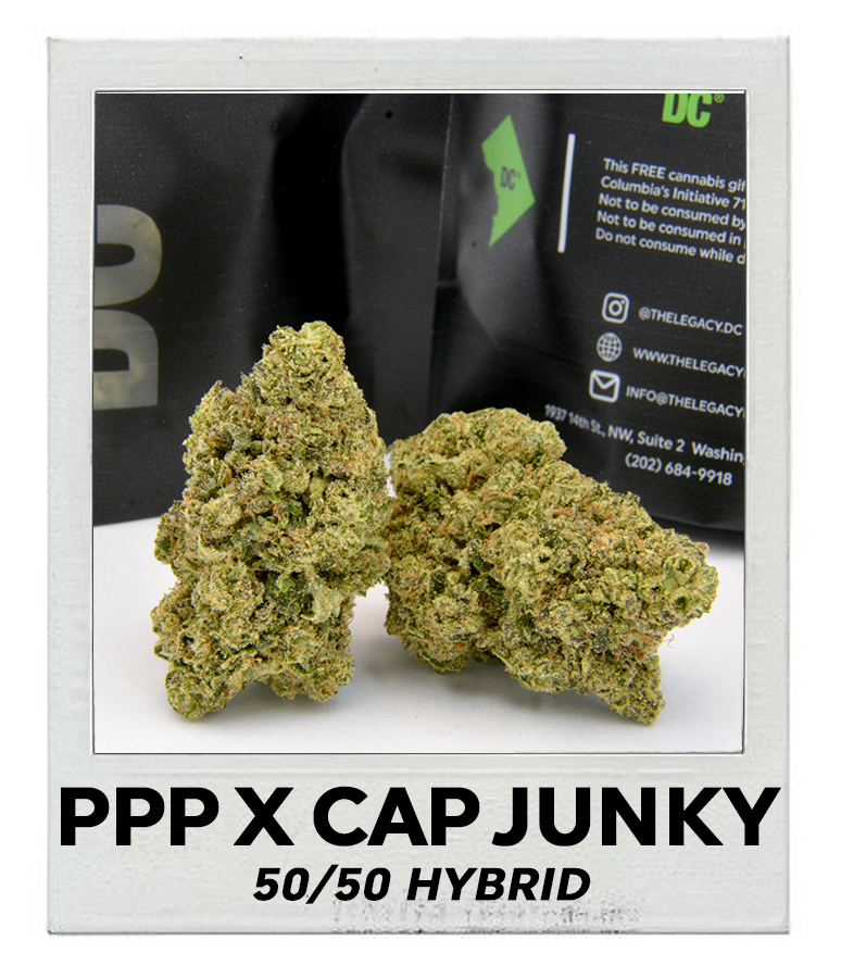 Legacy DC Weed Dispensary Cannabis Smoke Shop