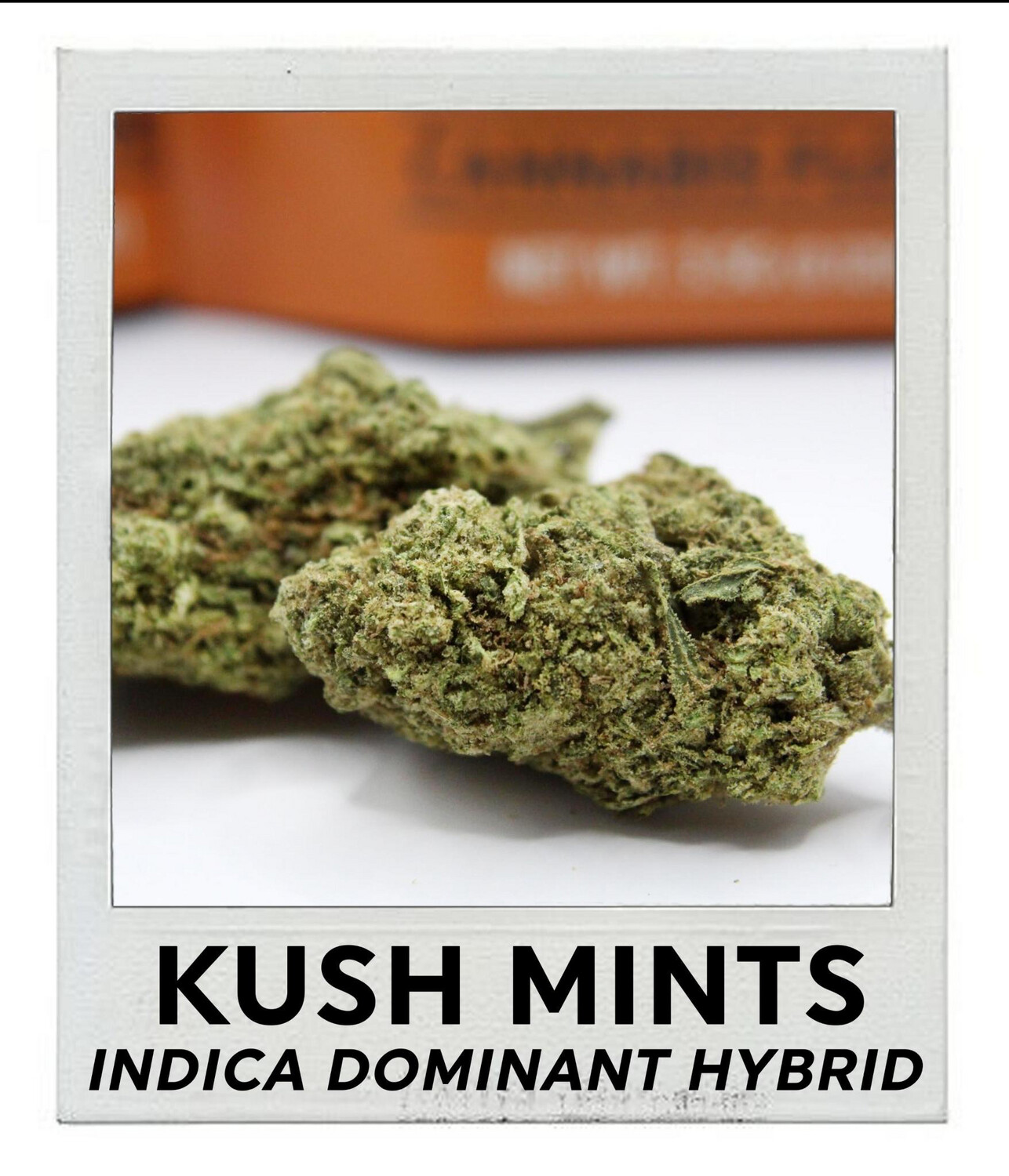 Kush Mints (50/50 Hybrid)