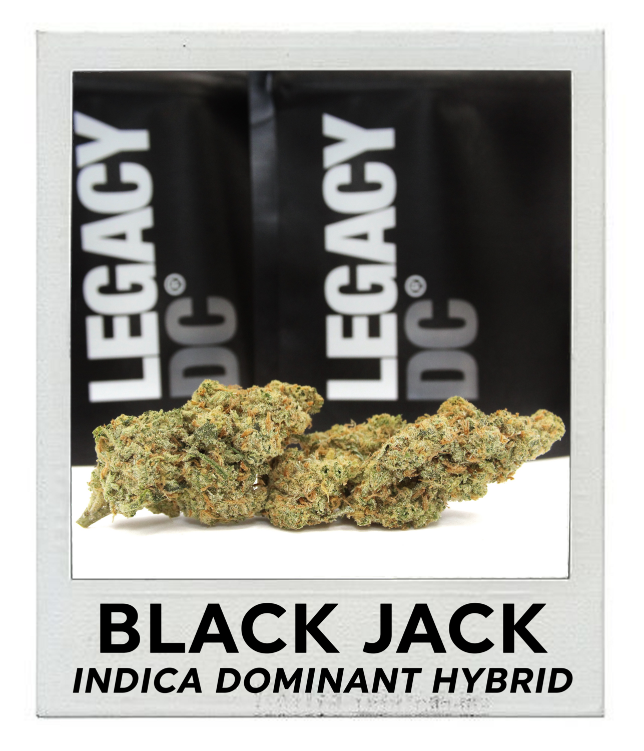 Black Jack (Indica Hybrid)