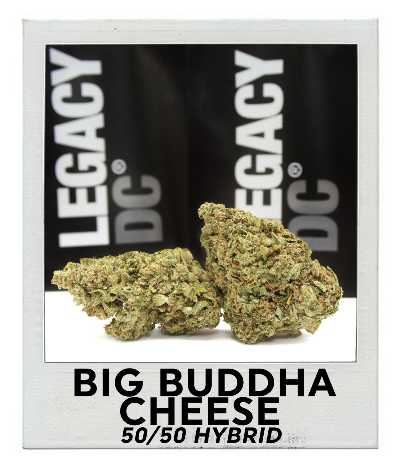 Big Buddha Cheese (50/50 Hybrid)