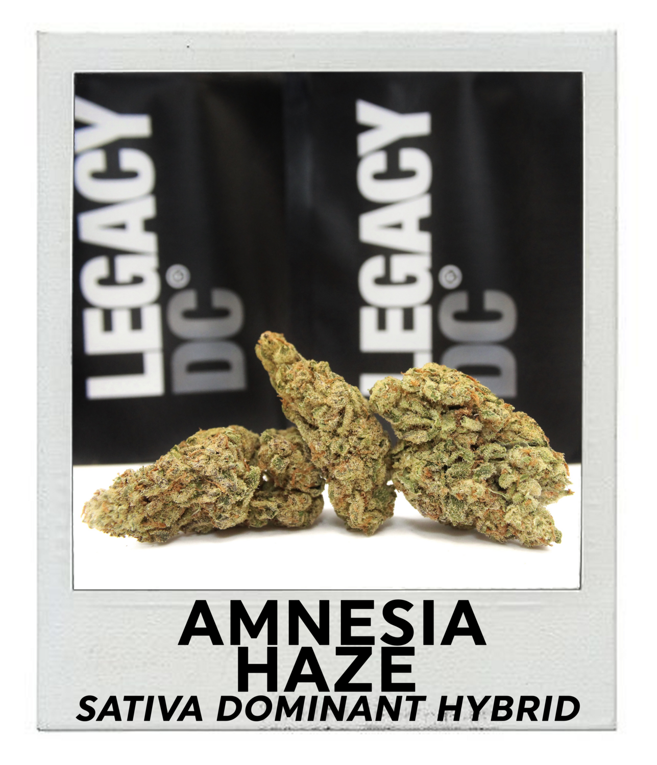 Amnesia Haze (Sativa Hybrid)