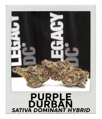 Purple Durban (Sativa Hybrid)