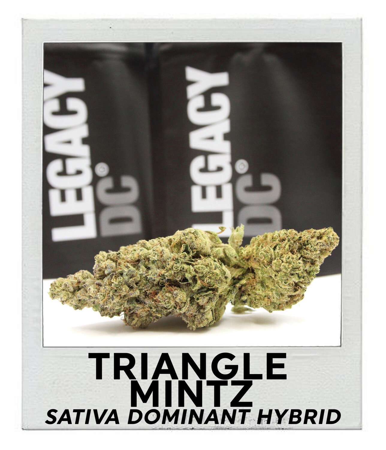 Triangle Mintz (Sativa Hybrid)