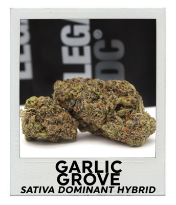 Garlic Grove (Sativa Hybrid)