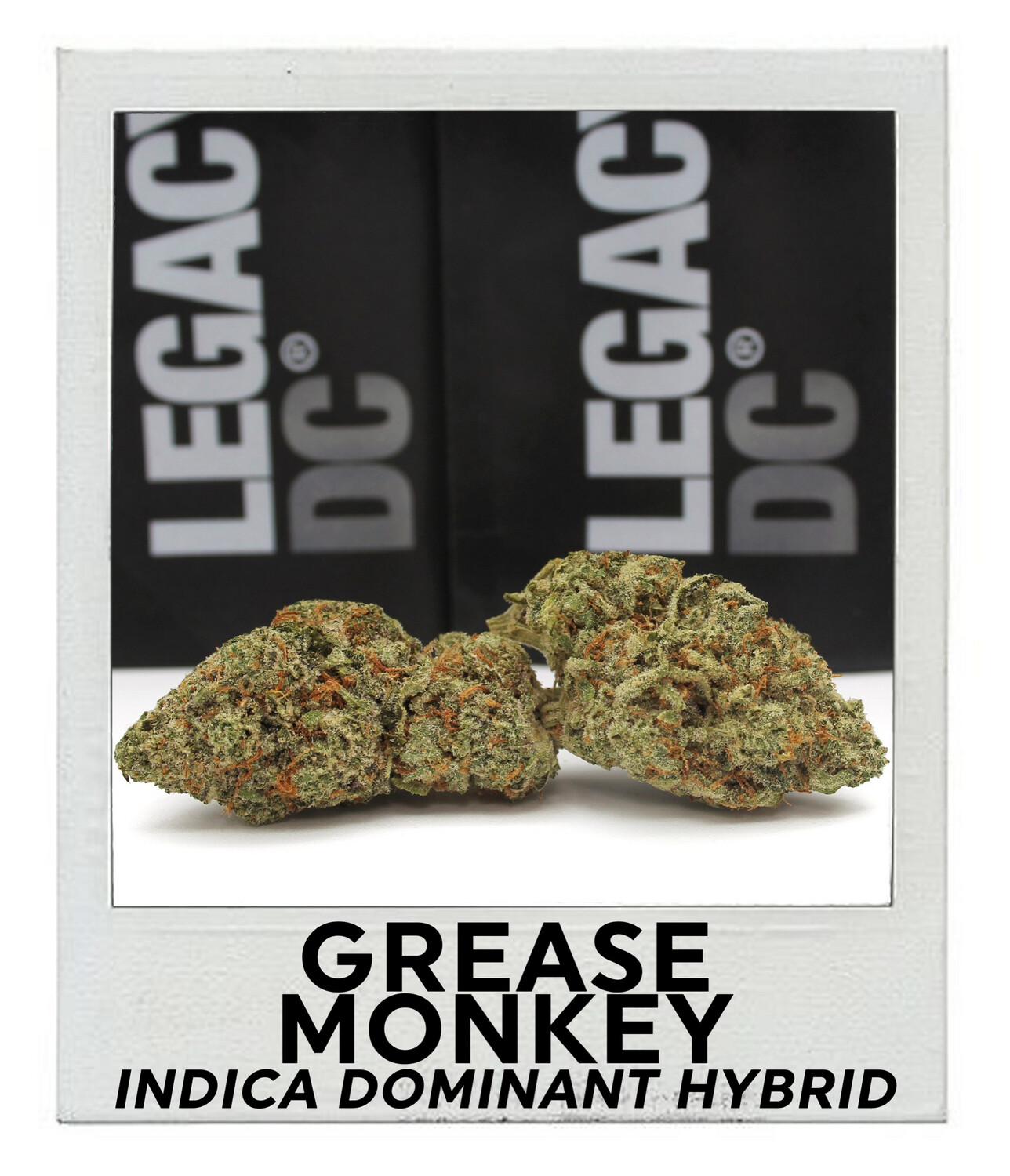 Grease Monkey (Indica Hybrid )