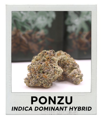 Ponzu (Indica Hybrid)