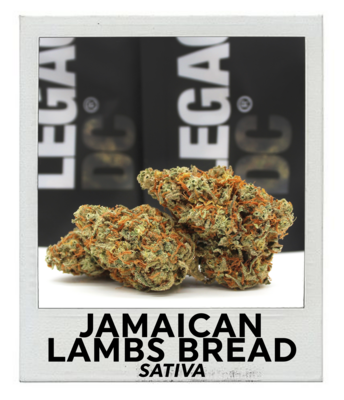 Jamaican Lambs Bread (Sativa)