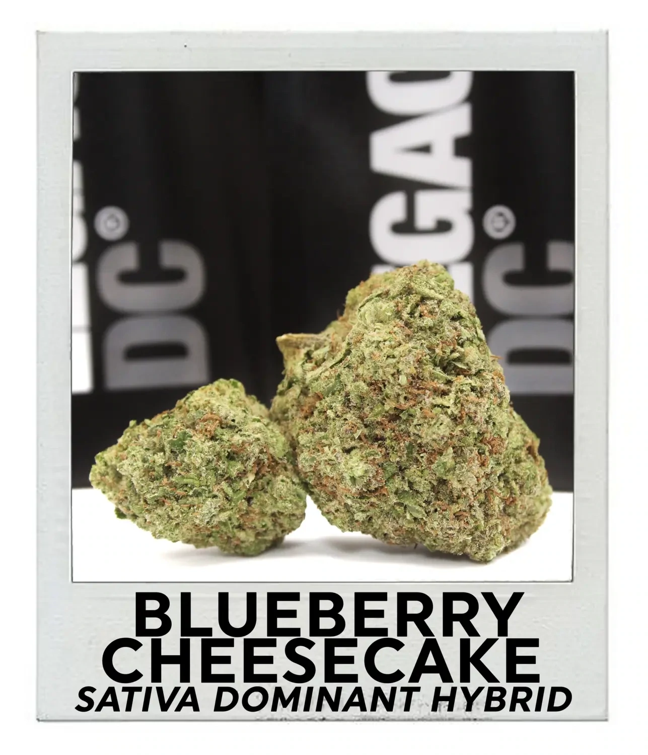 Blueberry Cheesecake (Sativa Hybrid)