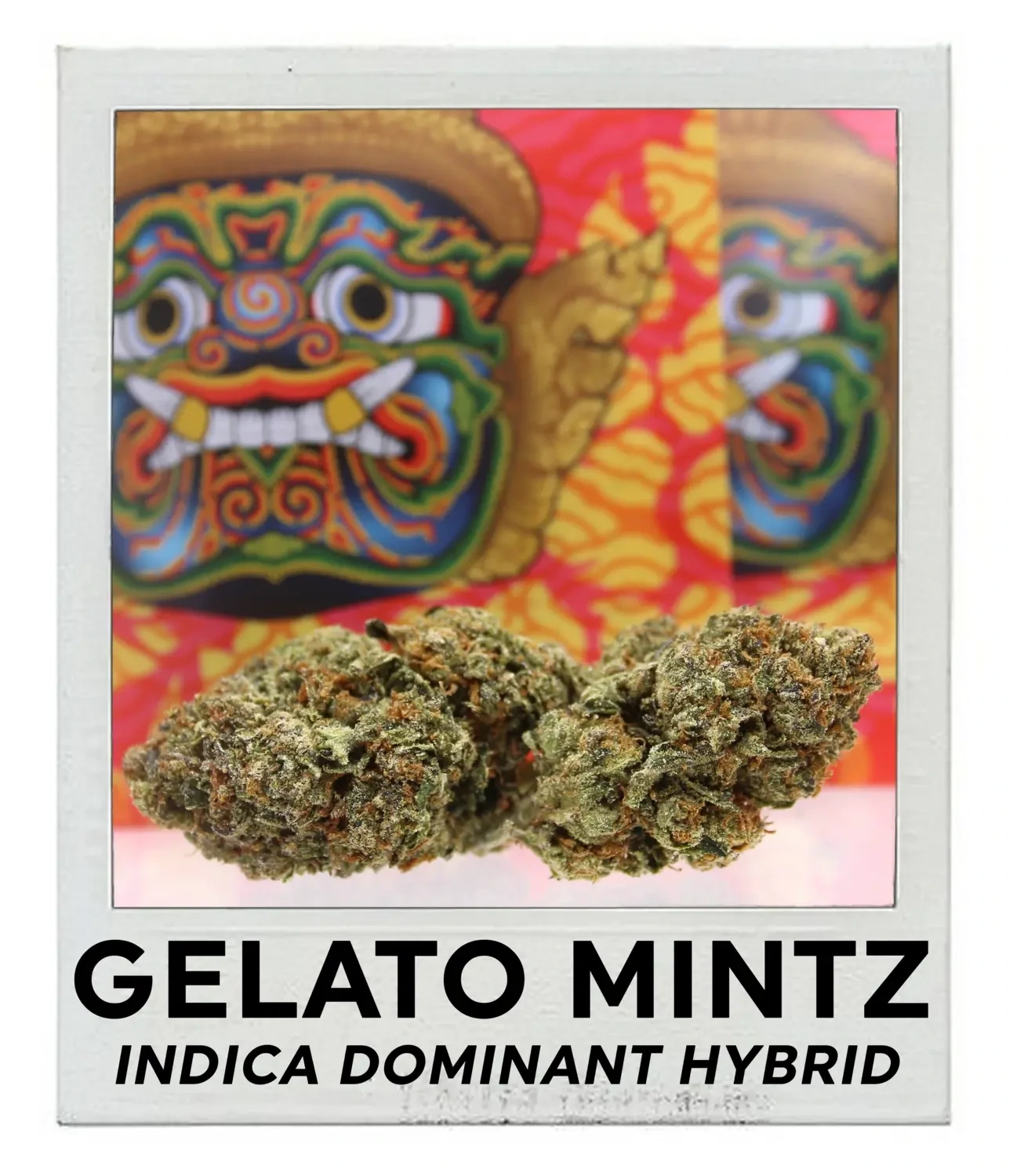 Gelato Mintz (Indica Hybrid)