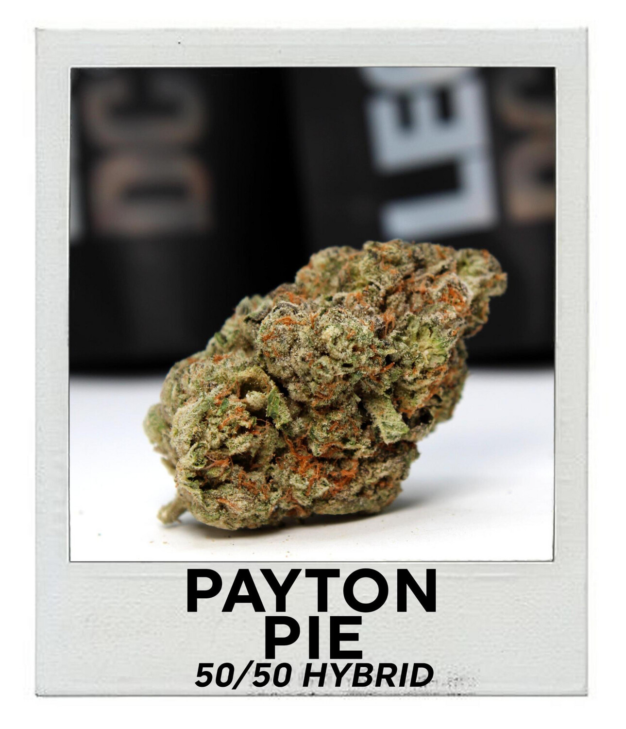 Payton Pie
