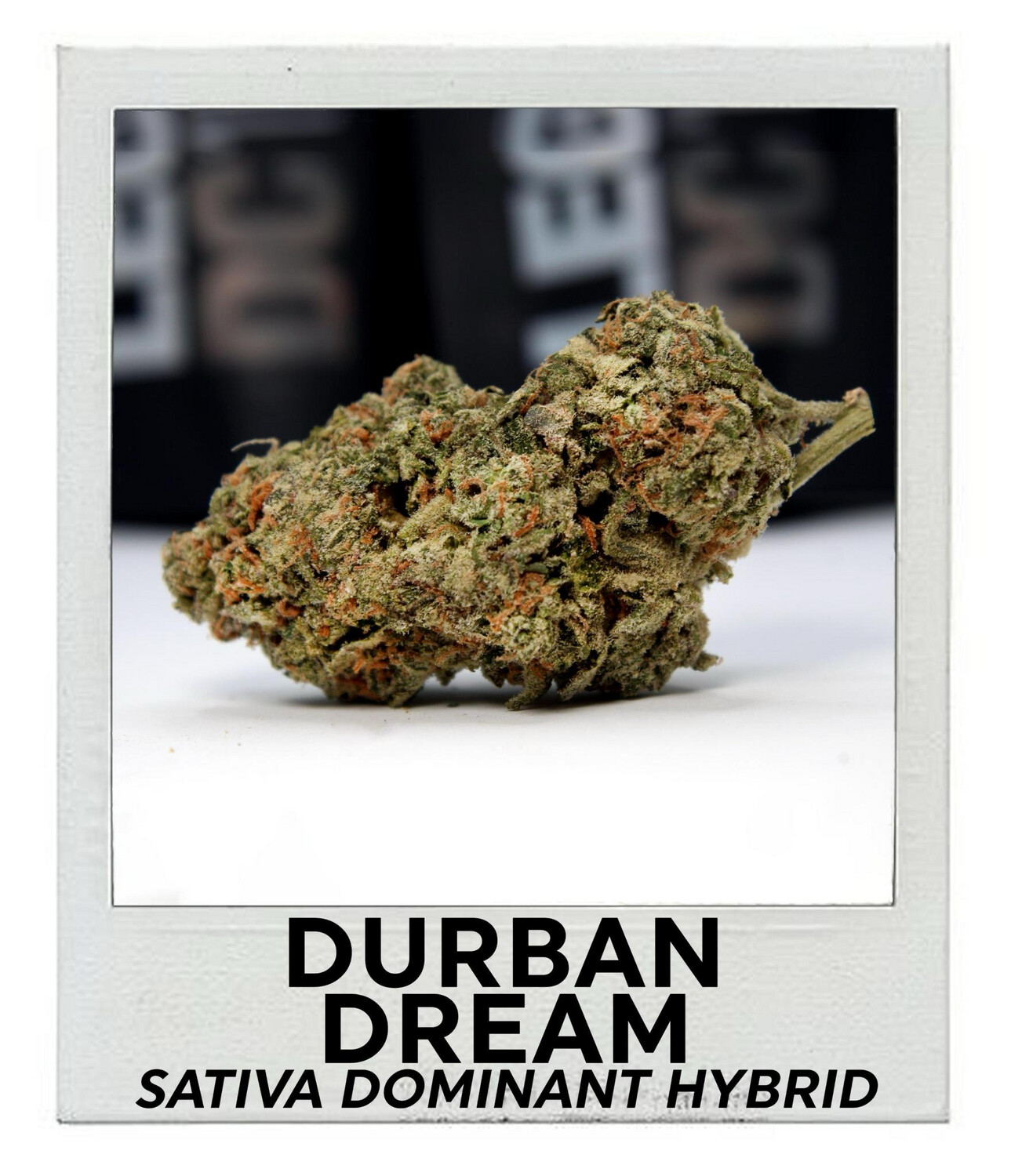 Durban Dream
