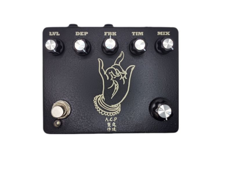 A.C.P 手印 मुद्रा Mudra Echo Stereo Delay