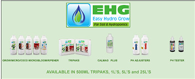 BEGINNER GUIDE: HOW TO GROW CANNABIS WITH EASY HYDRO GROW