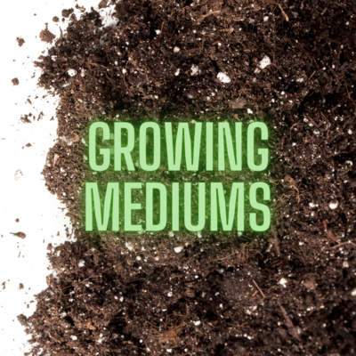 Growing Mediums