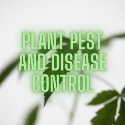 Plant Pest & Disease Control