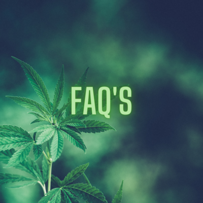 Cannabis Growing FAQs