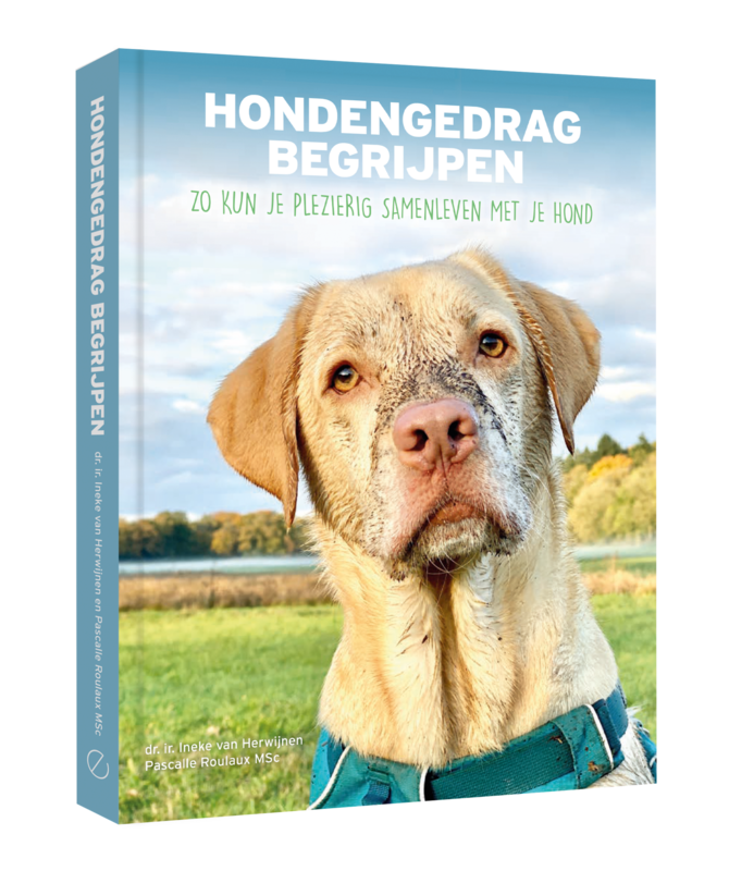 Hondengedrag begrijpen