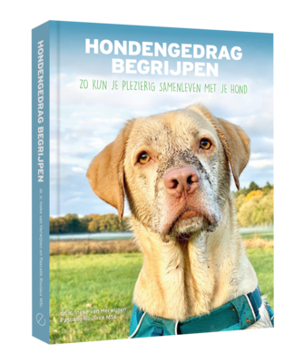 Hondengedrag begrijpen