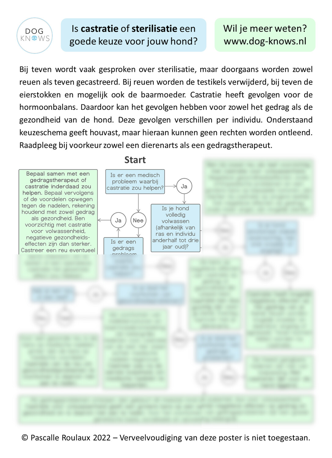 Poster met stroomschema