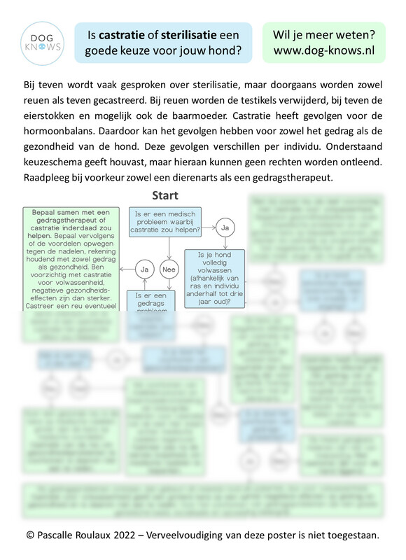 Poster met stroomschema