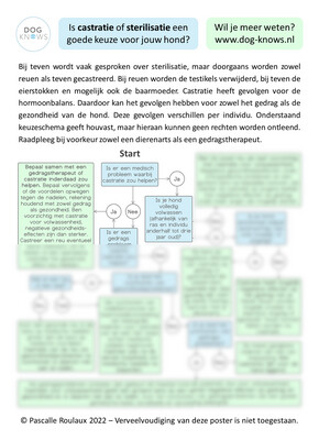 Poster met stroomschema Poster met stroomschema