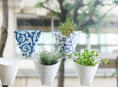 Stick-on Planter - fönsterodling (vit/ljusblå)