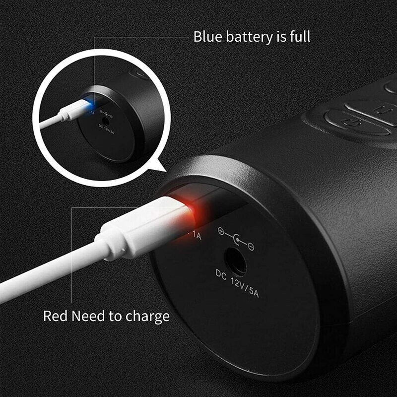 Inflador Compresor de Aire Portátil Digital 12V
