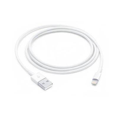Lightning to USB Cable (1 m) ORIGINAL