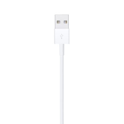 Lightning to USB Cable (1 m) ORIGINAL
