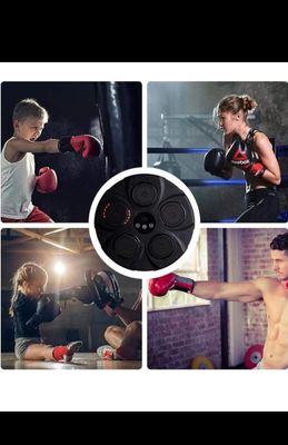 Panel De Boxeo