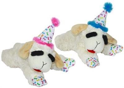 Birthday Lamb Chop, Large 10.5&quot;, 1 piece