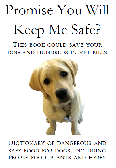 Promise You Will Keep Me Safe? Book (Available on Amazon: Link below)