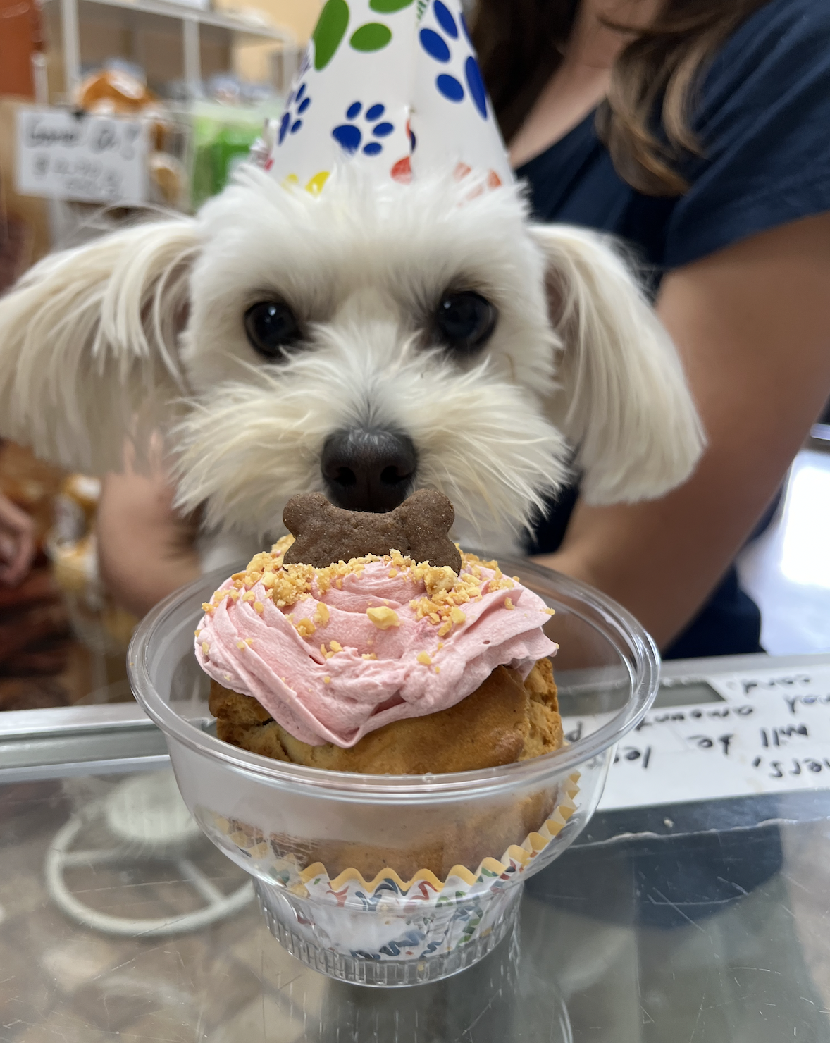 Canine Indulgence Luxury Experience Invitation - Private Mini Tour of Our Bakery Kitchen &amp; Free Customized Cookie