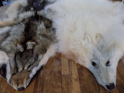 Fourrure de loup