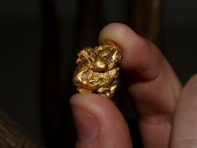 Gold Detectors