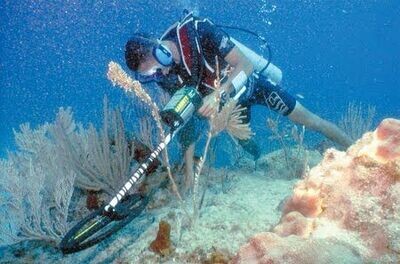 Submersible Metal Detectors