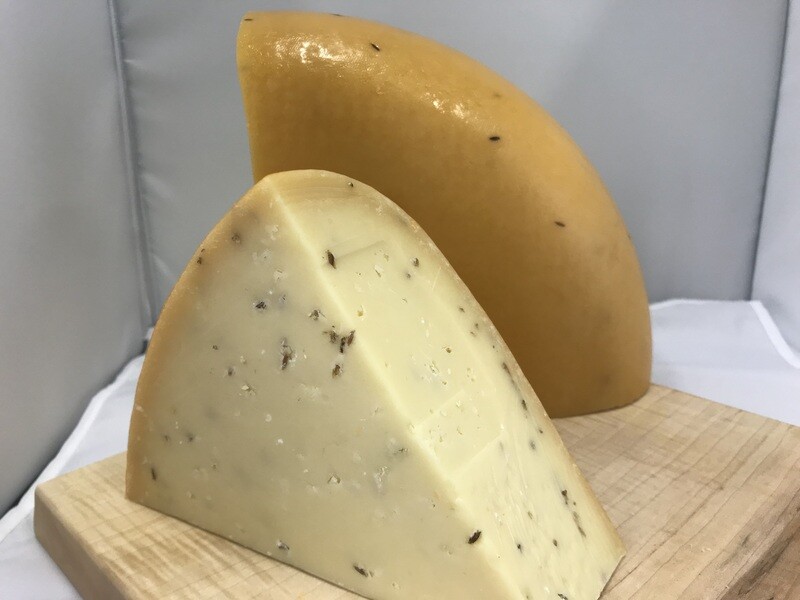 Gouda - Aged Cumin