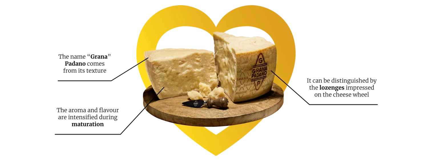 Grana Padano Cheese