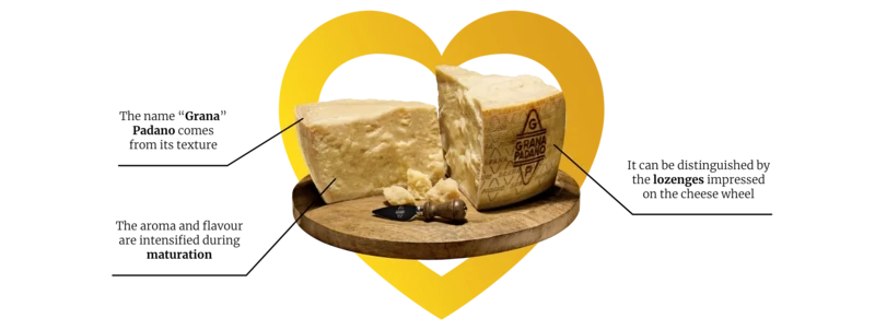 Grana Padano Cheese