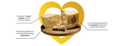 Grana Padano Cheese