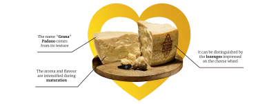 Grana Padano Cheese