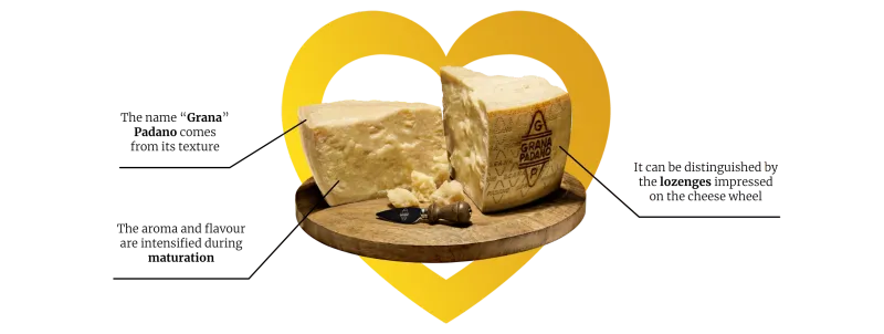 Grana Padano Cheese Grana Padano Cheese