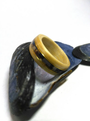 Blue Mussel Birch and Gold Bentwood Ring